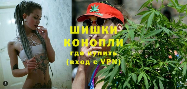 гидра Краснослободск