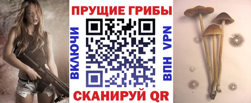 Псилоцибиновые грибы MAGIC MUSHROOMS  Щучье 